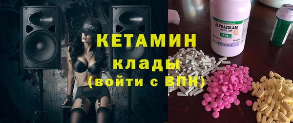 индика Елабуга