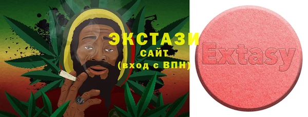 индика Елабуга