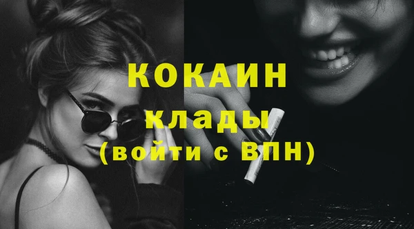 дживик Елизово