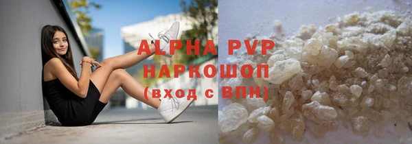 индика Елабуга