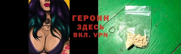 индика Елабуга