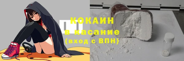 индика Елабуга