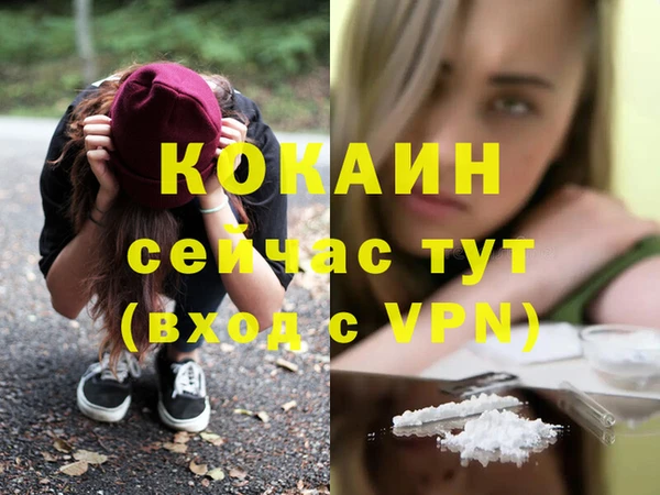герыч Ельня