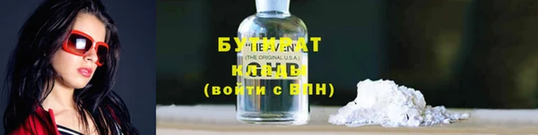 индика Елабуга