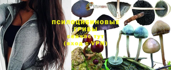 дживик Елизово