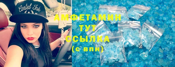 индика Елабуга