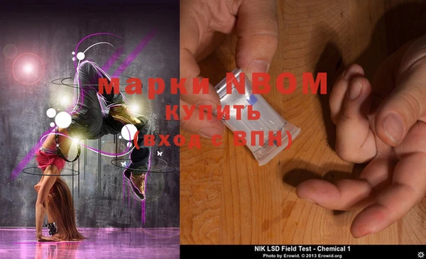 индика Елабуга