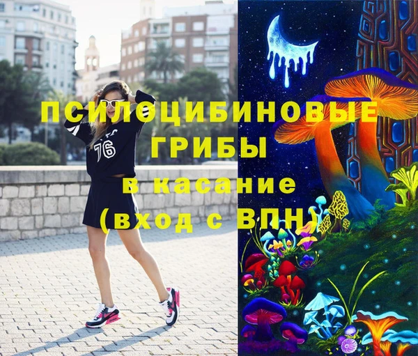 дживик Елизово