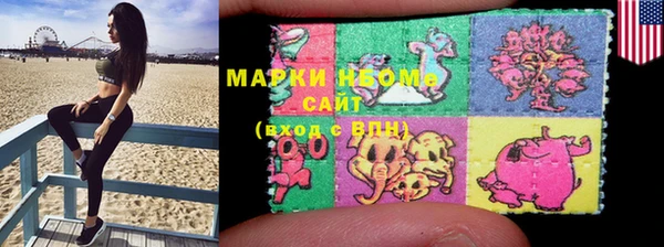 индика Елабуга