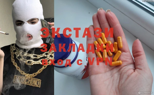 индика Елабуга