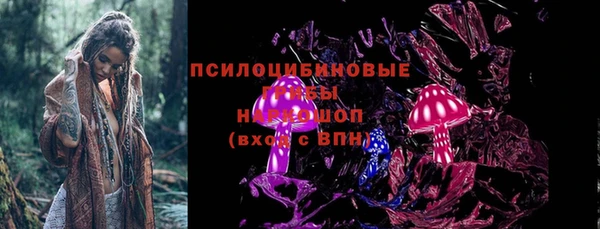 индика Елабуга