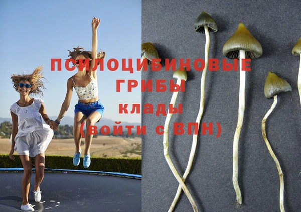 дживик Елизово