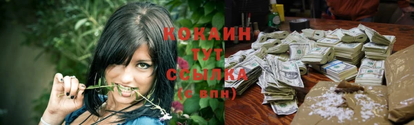 индика Елабуга